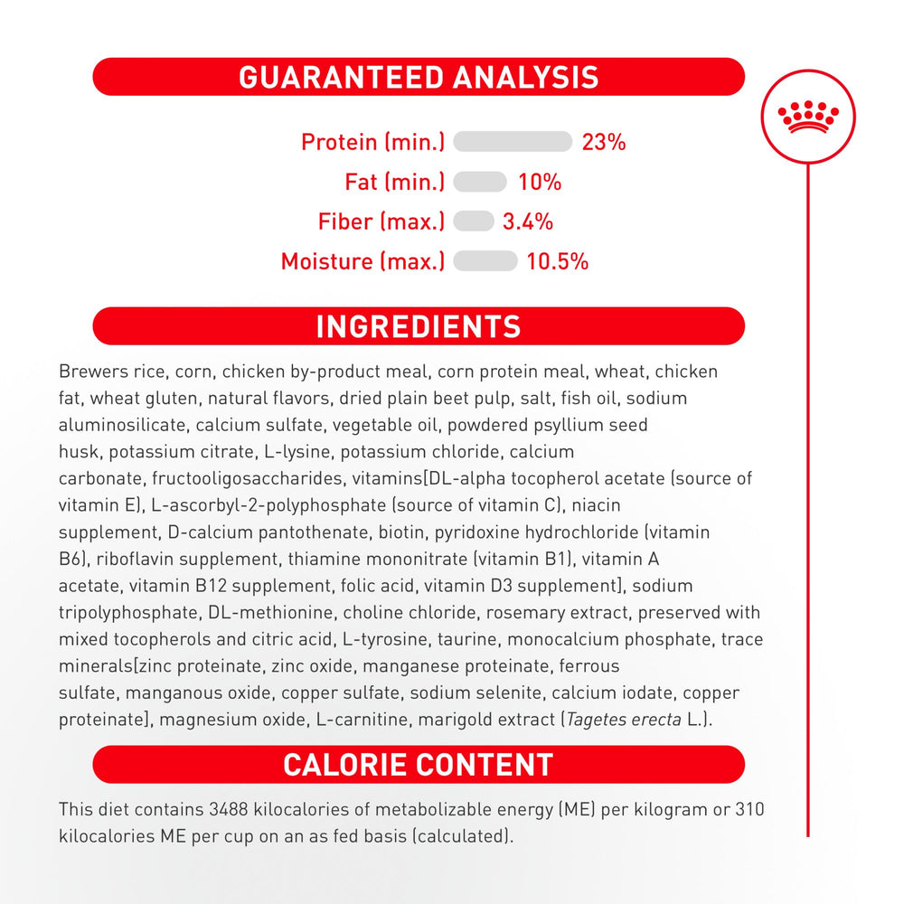 ROYAL CANIN gros plan pelage montrant soutien cutané et brillance du poil