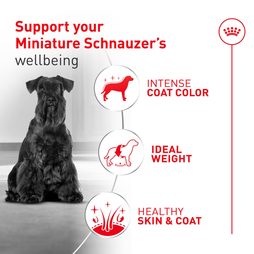 ROYAL CANIN comparaison d’échelle montrant taille de croquette pour petits chiens