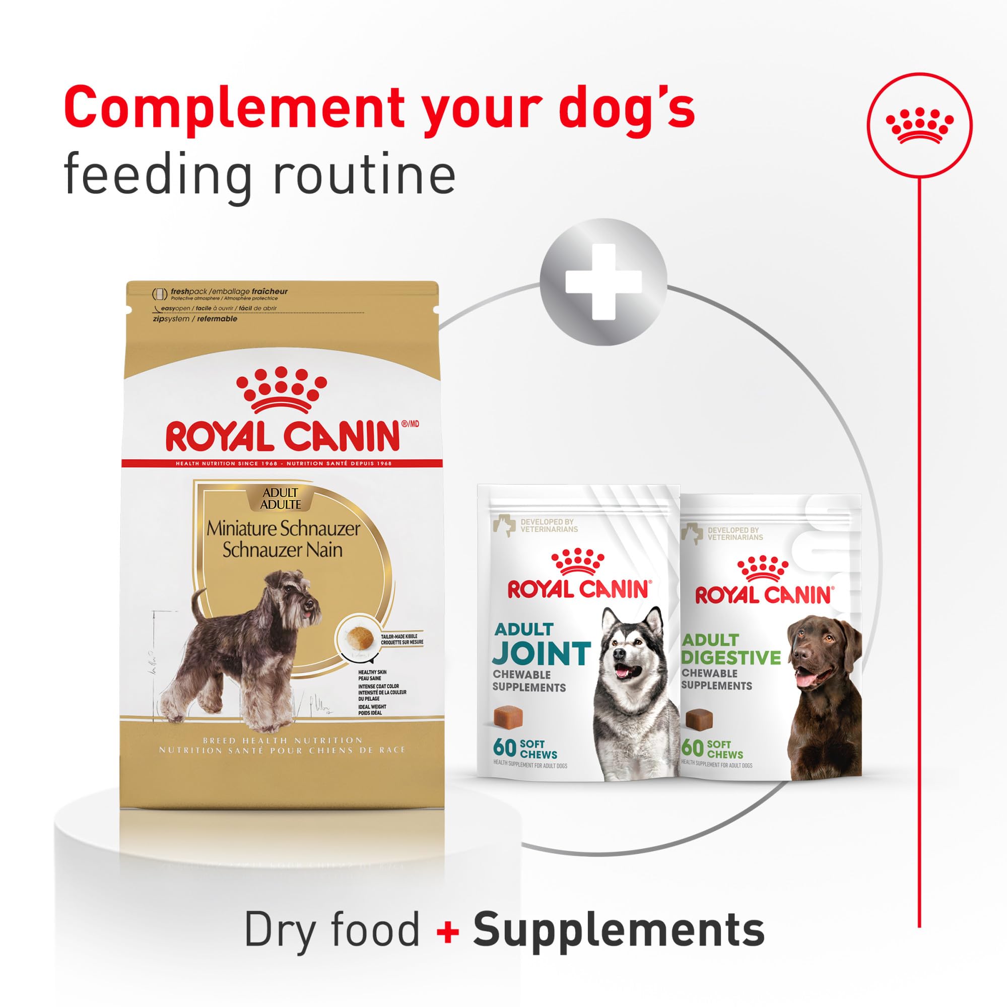 ROYAL CANIN emballage arrière montrant informations d’alimentation claires
