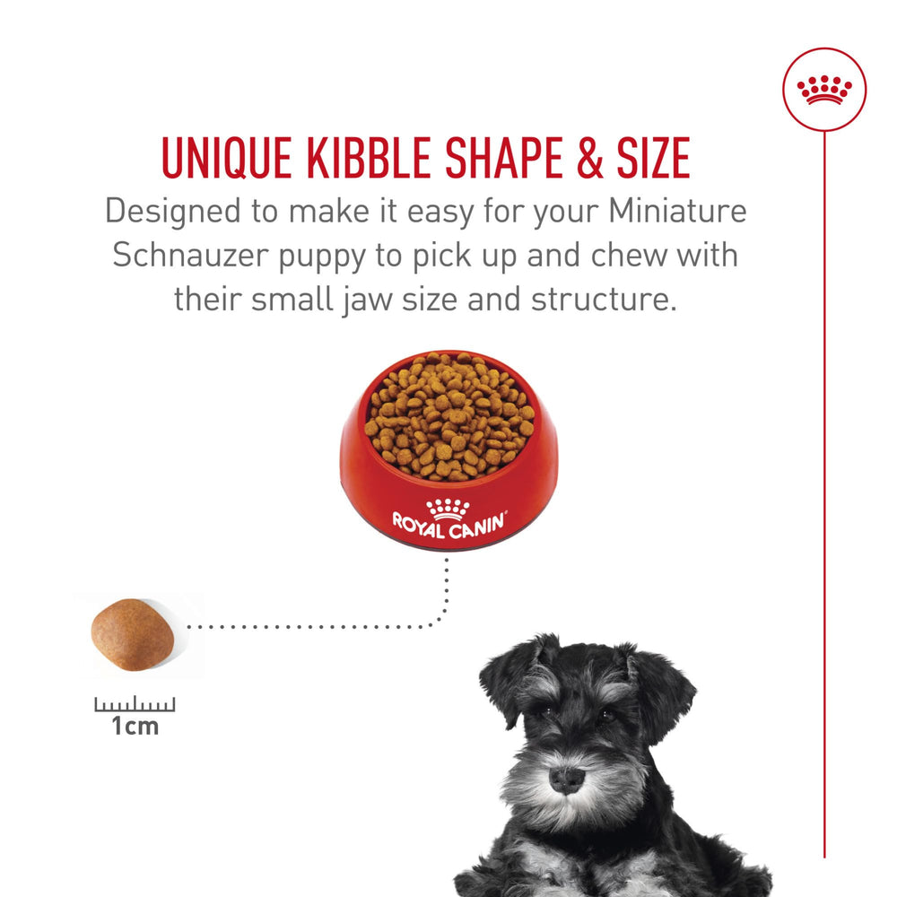 ROYAL CANIN sac 2,5 lb à côté d’un objet pour comparer la taille pratique et maniable