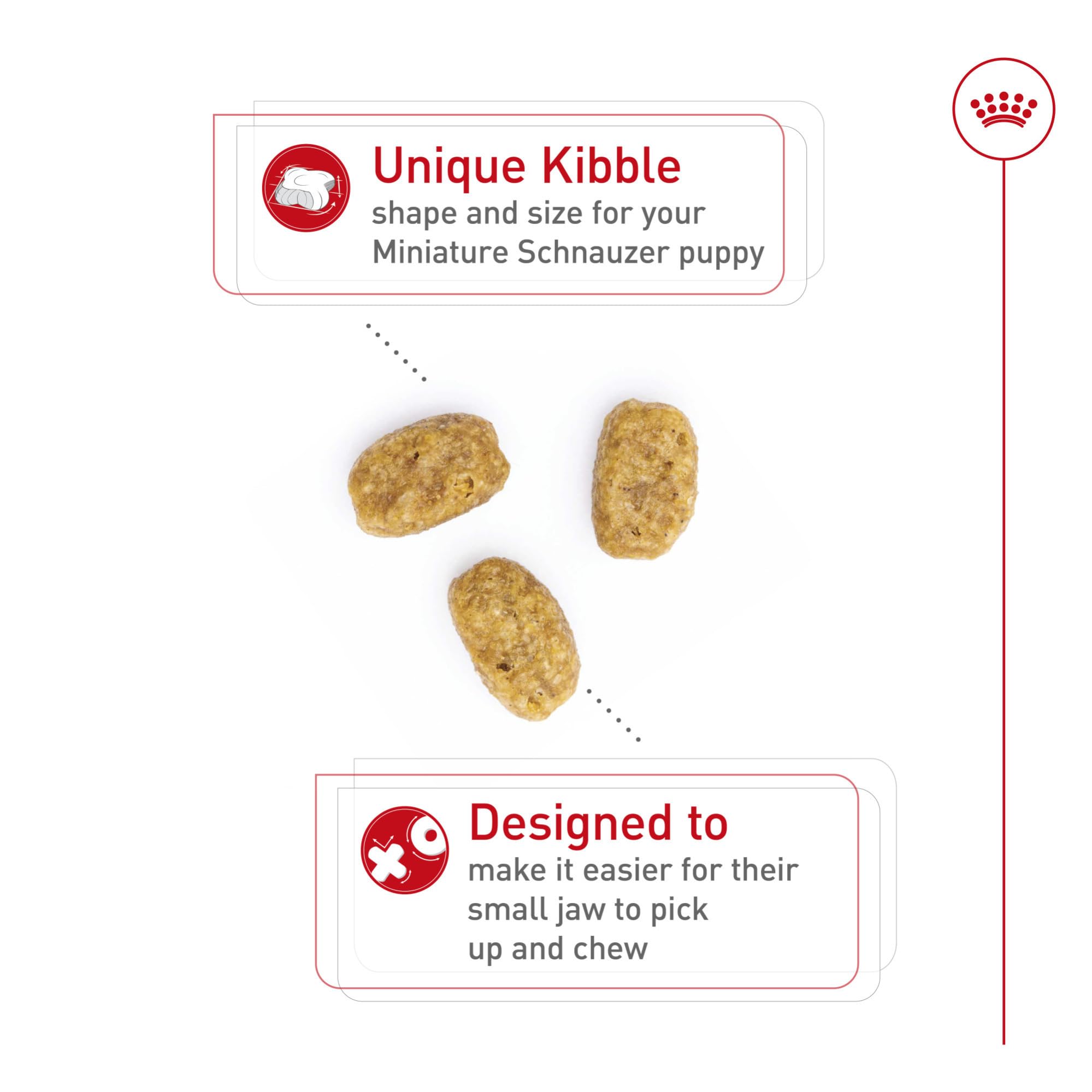 ROYAL CANIN gros plan croquette adaptée à la mâchoire petite facilite la prise