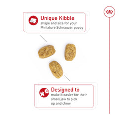 ROYAL CANIN gros plan croquette adaptée à la mâchoire petite facilite la prise