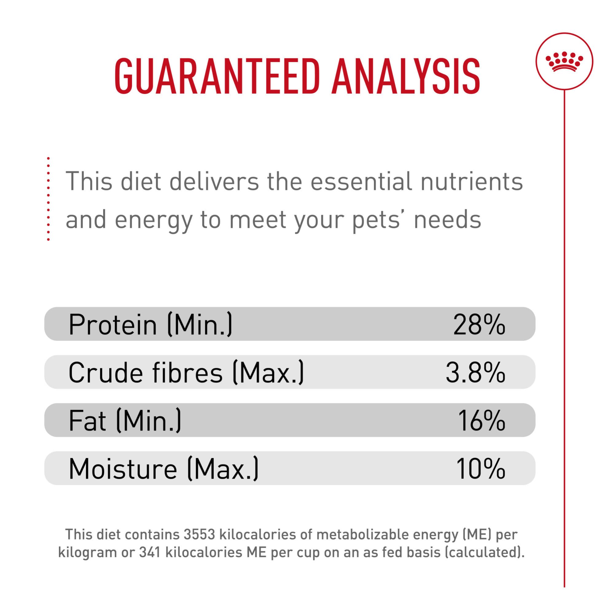 ROYAL CANIN propriétaire caressant chiot Schnauzer souligne bien-être et lien familial