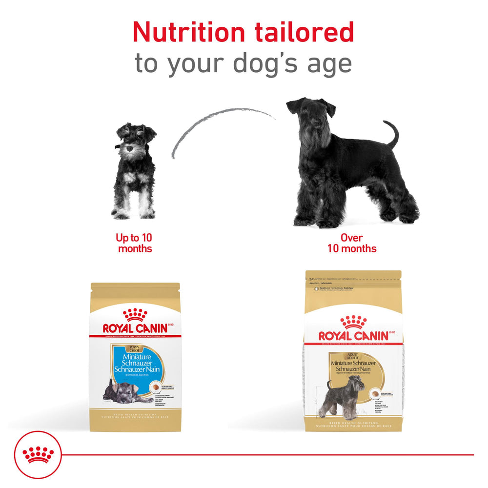 ROYAL CANIN tableau de rations et guide d’alimentation aide au calcul des portions