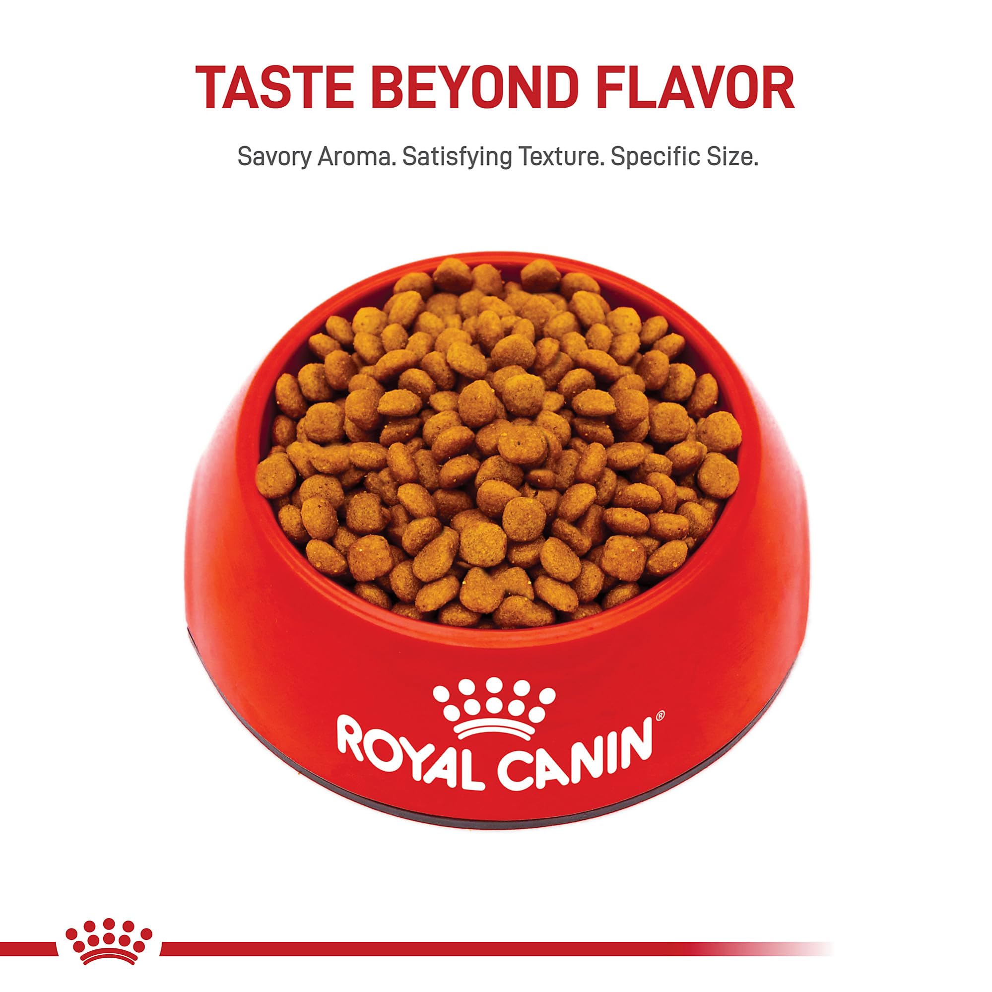 ROYAL CANIN texture des croquettes dans un bol montre qualité et appétence