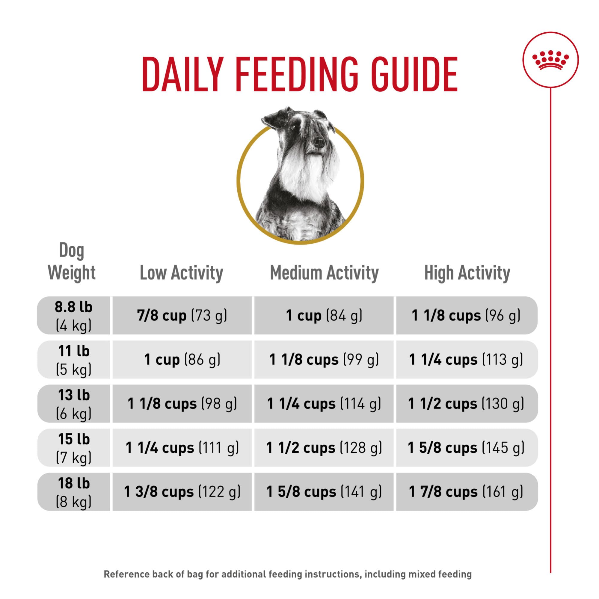 ROYAL CANIN schnauzer en intérieur montrant intégration familiale et bien-être