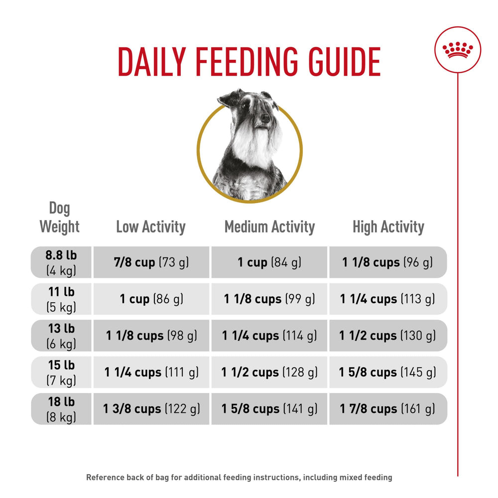 ROYAL CANIN schnauzer en intérieur montrant intégration familiale et bien-être
