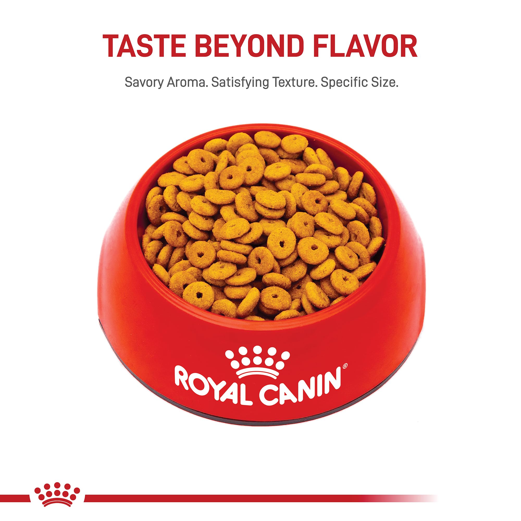 ROYAL CANIN chat indoor actif bénéficiaire d’une alimentation adaptée