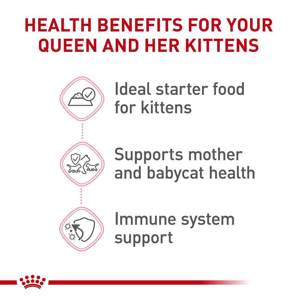 ROYAL CANIN mousse servie dans une assiette pour faciliter le sevrage