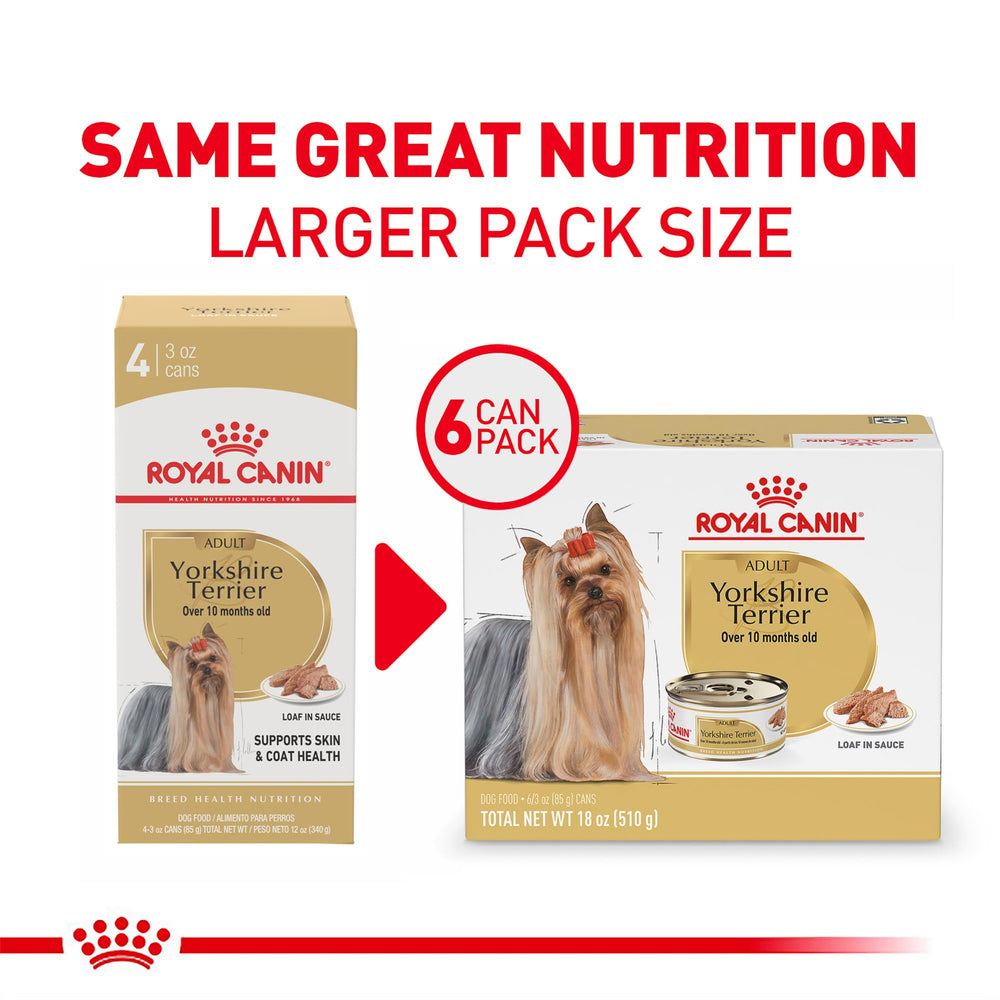 ROYAL CANIN gros plan sur sachet ouvert montrant la pâtée en sauce appétissante