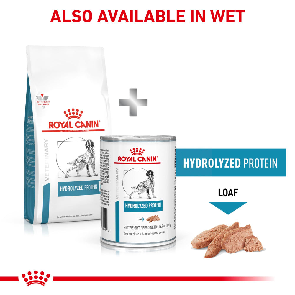 ROYAL CANIN pack de 24 boîtes empilées, approvisionnement pratique