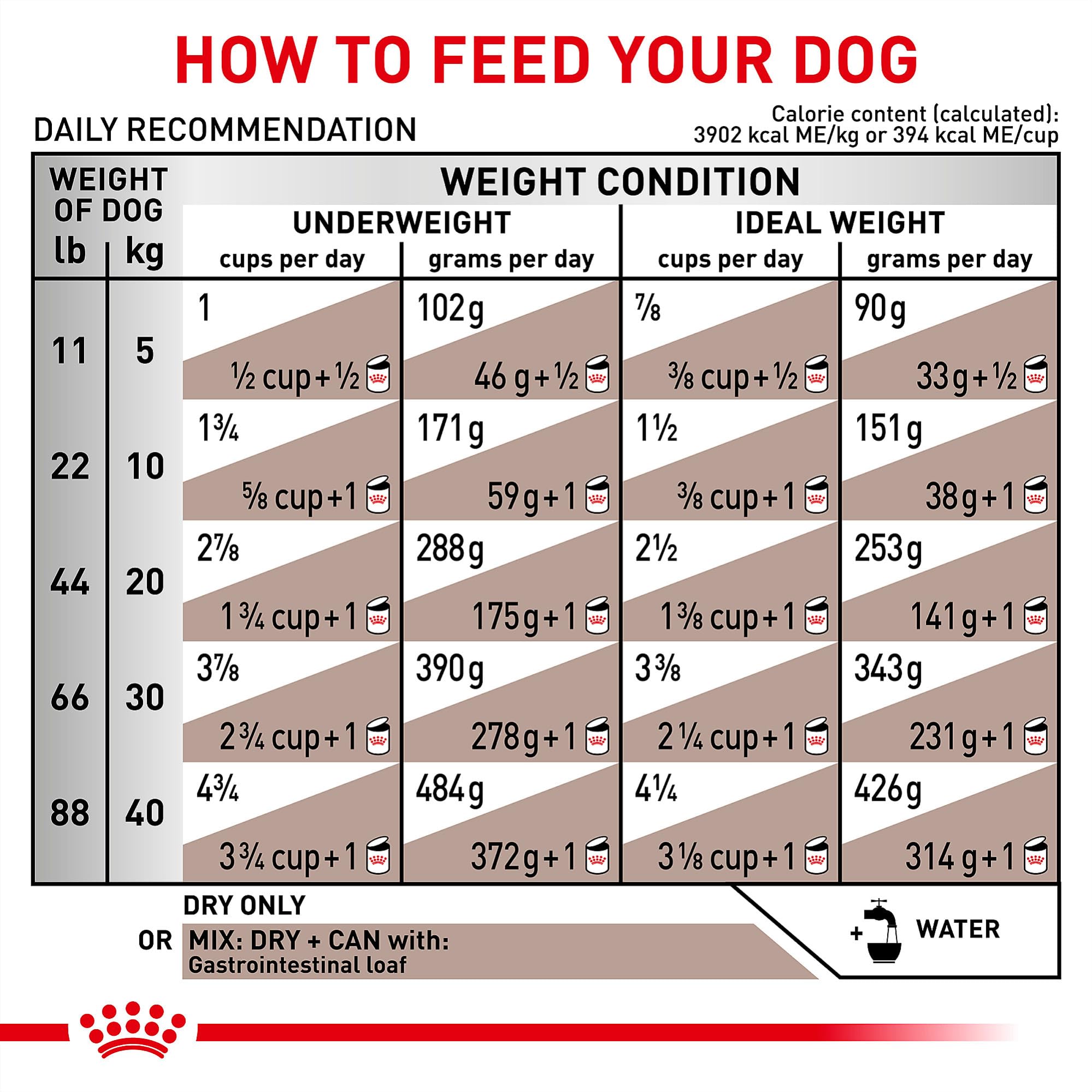ROYAL CANIN sac 8.8 lb posé sur table pour évaluer quantité et emballage