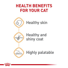 ROYAL CANIN pâtée mélangée à croquettes pour favoriser variété alimentaire