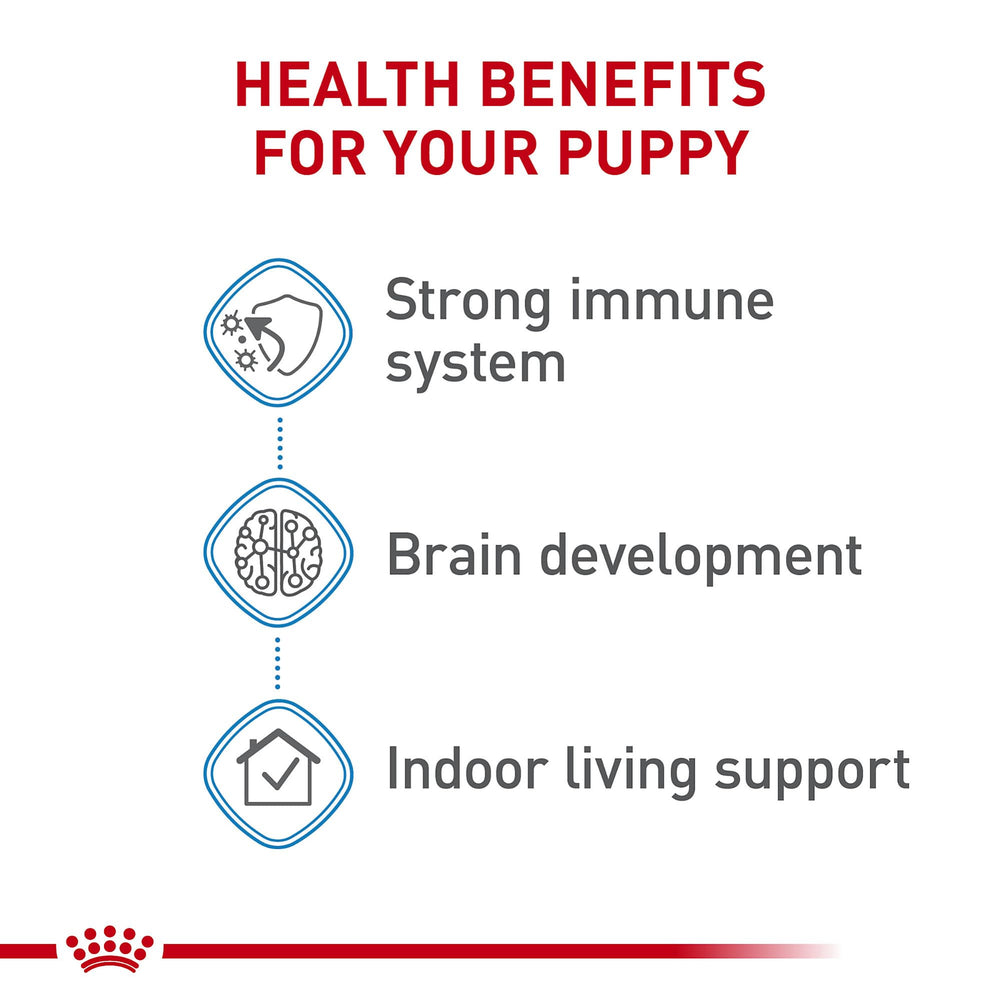 Royal Canin chiot au pelage brillant montrant bénéfice peau et fourrure