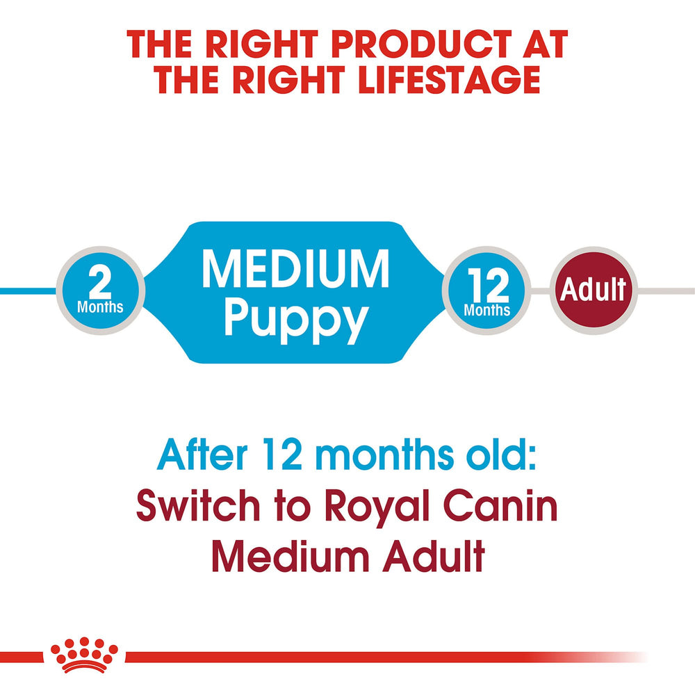 ROYAL CANIN portion sèche mélangée à humide pour appétence améliorée