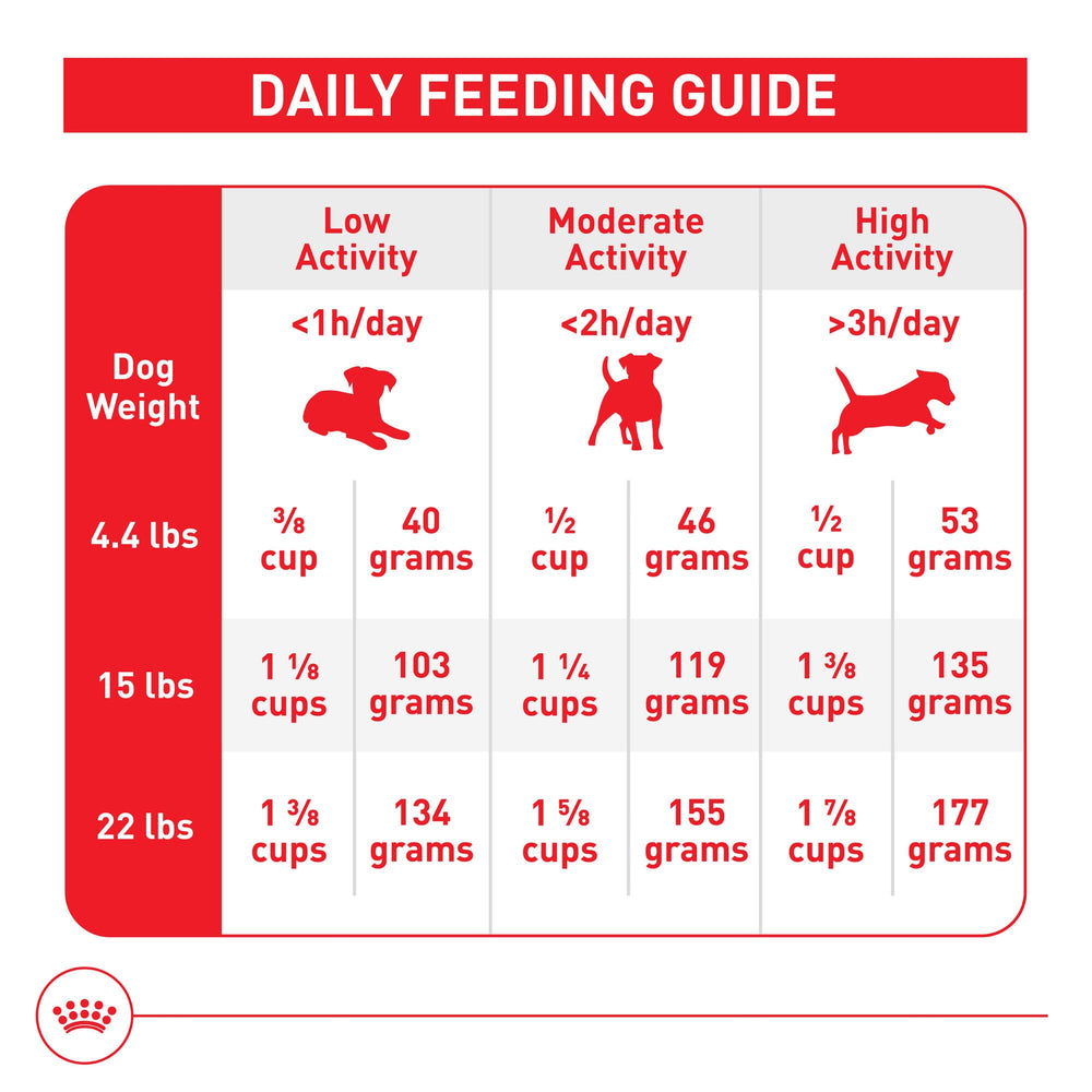 ROYAL CANIN mise en scène cuisine moderne présentant produit dans un foyer actif et sain