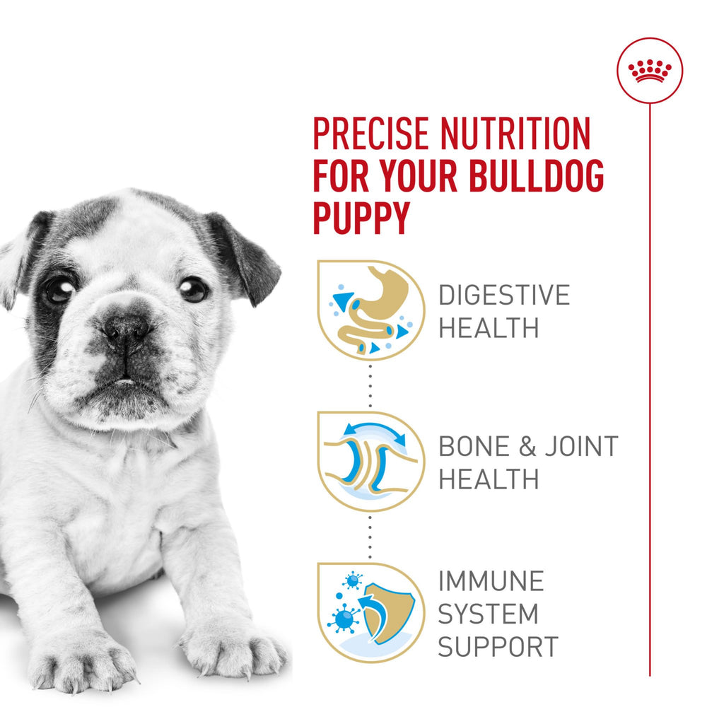 ROYAL CANIN poche ouverte montrant croquettes fraîcheur et praticité