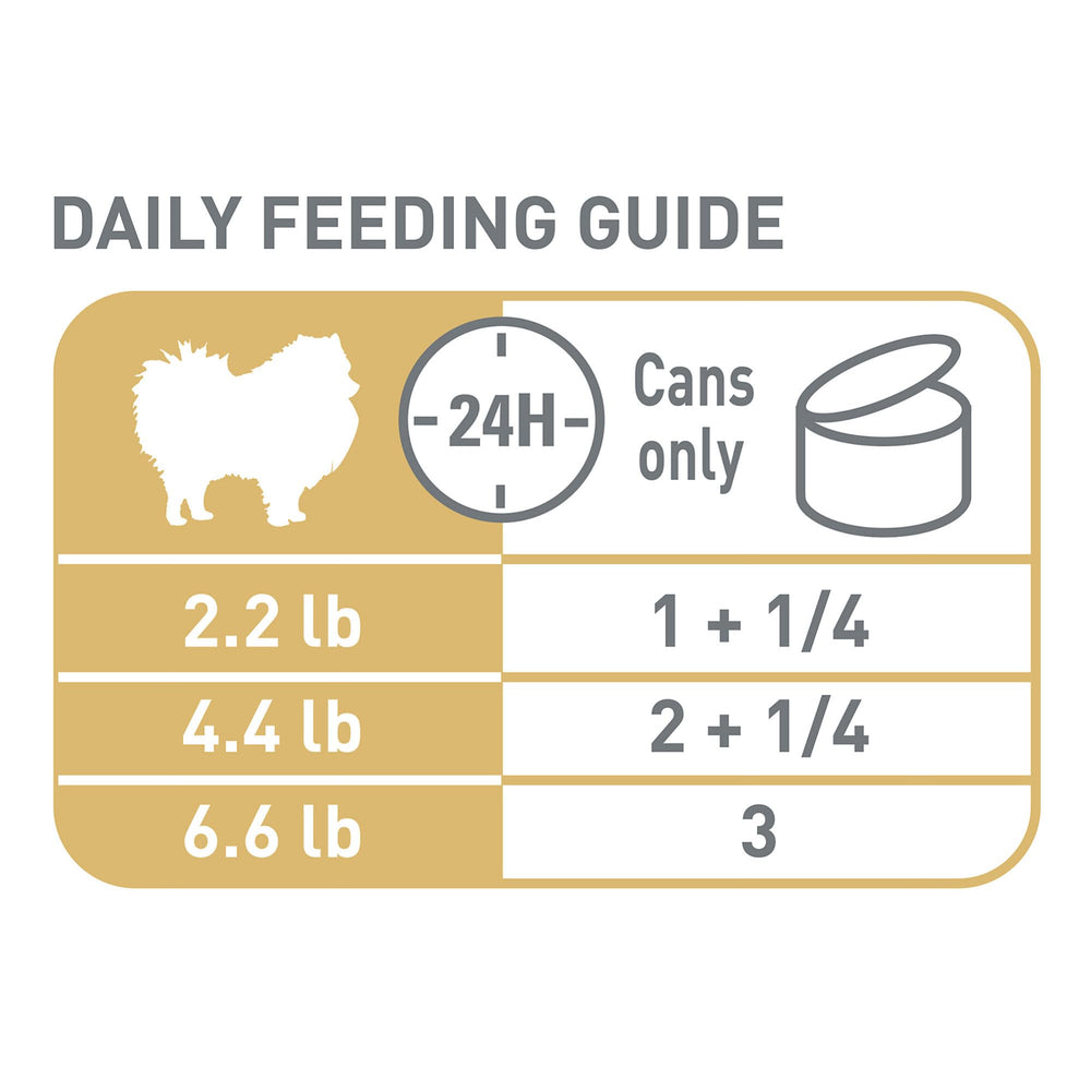 ROYAL CANIN pomeranian au pelage brillant après alimentation adaptée