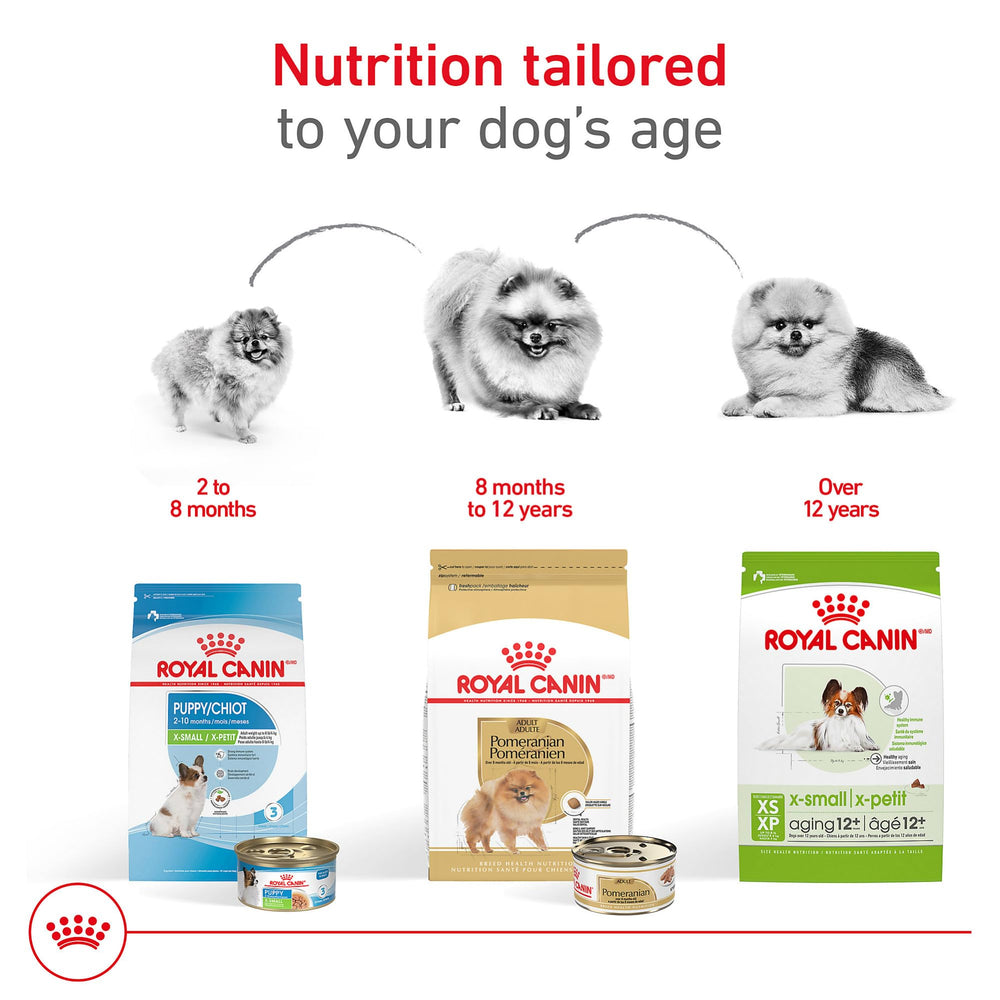 ROYAL CANIN mélange pâtée et croquettes pour alimentation mixte