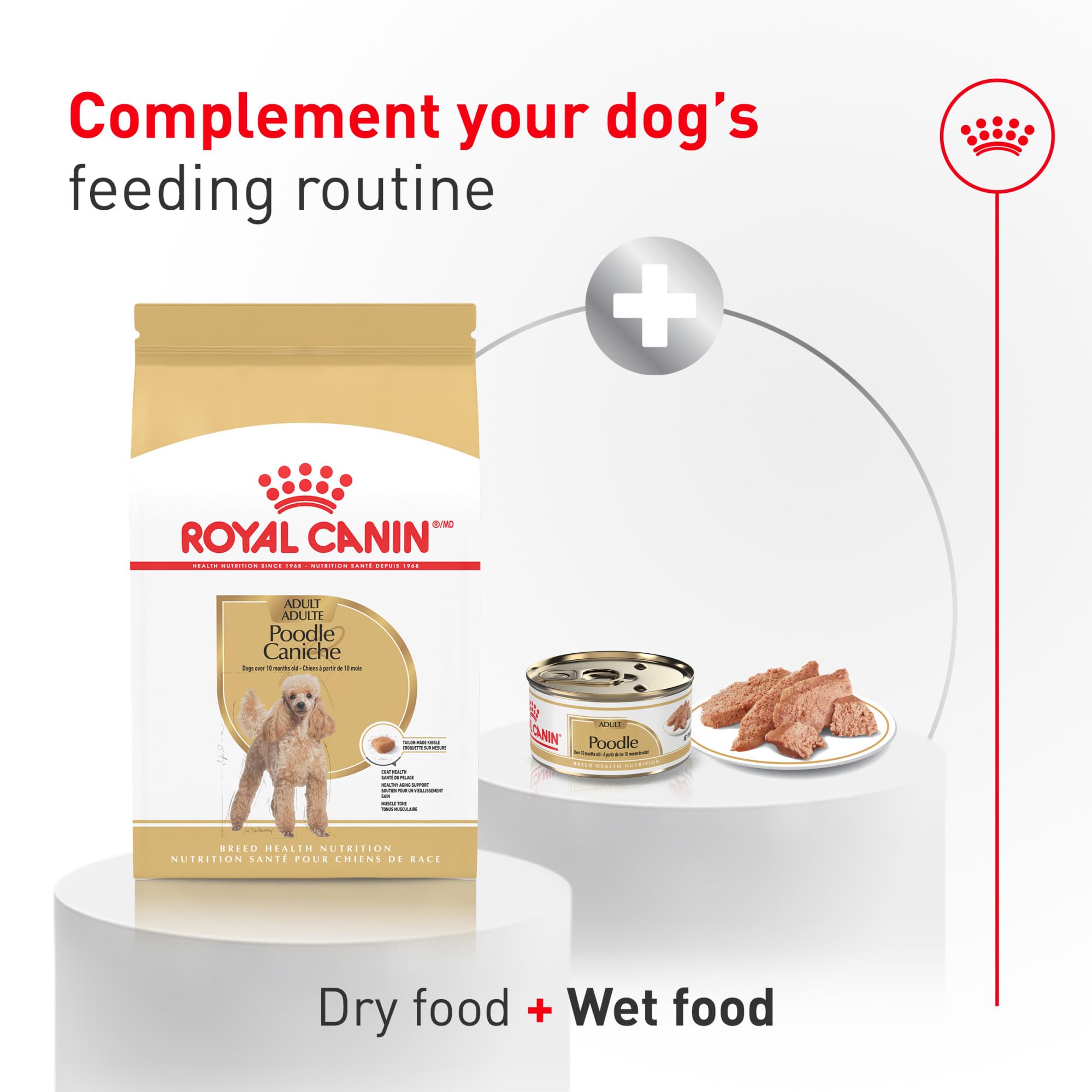 ROYAL CANIN sac 2,5 lb posé en évidence pour repérer facilement la taille du produit