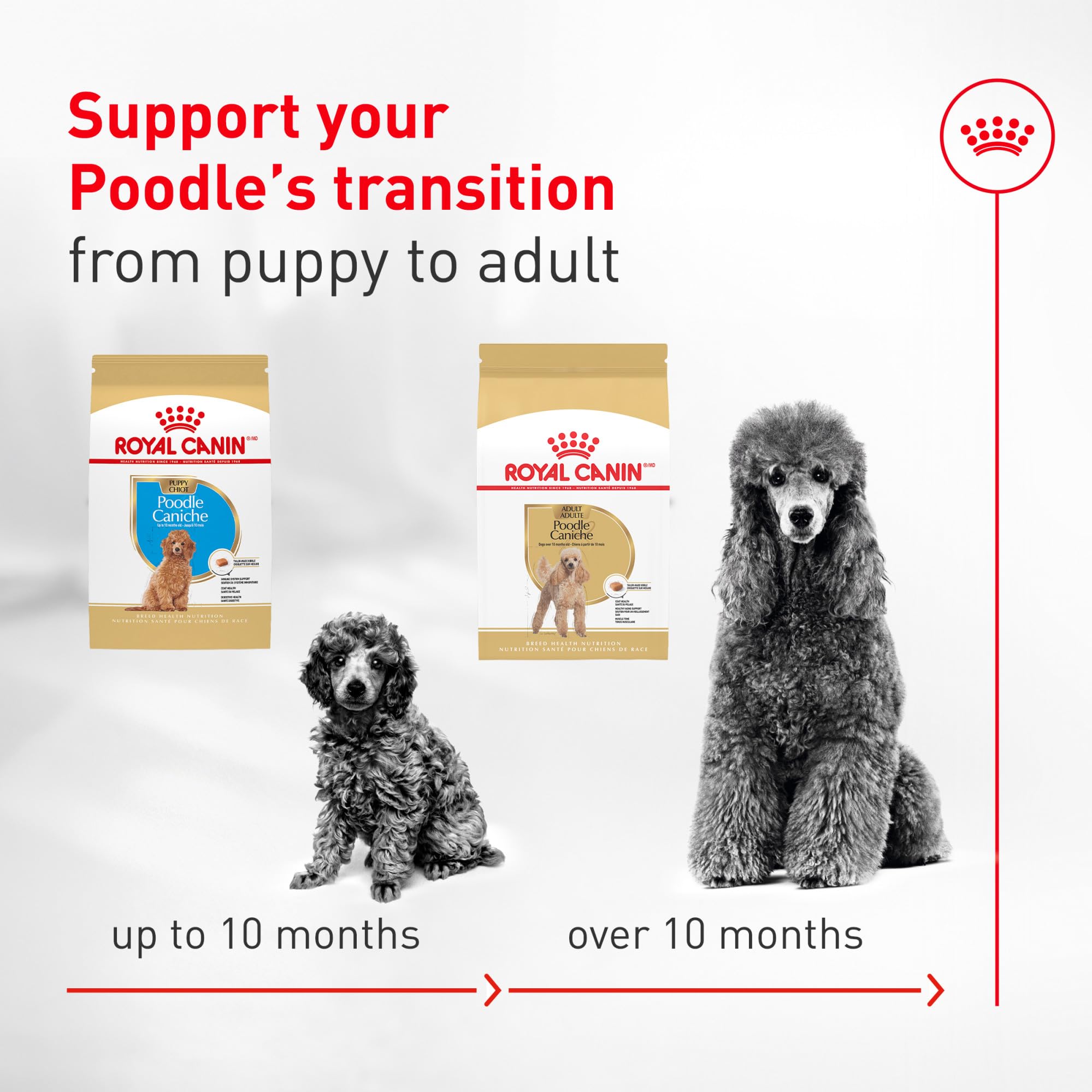ROYAL CANIN tableau nutritionnel et ingrédients pour choisir une alimentation équilibrée