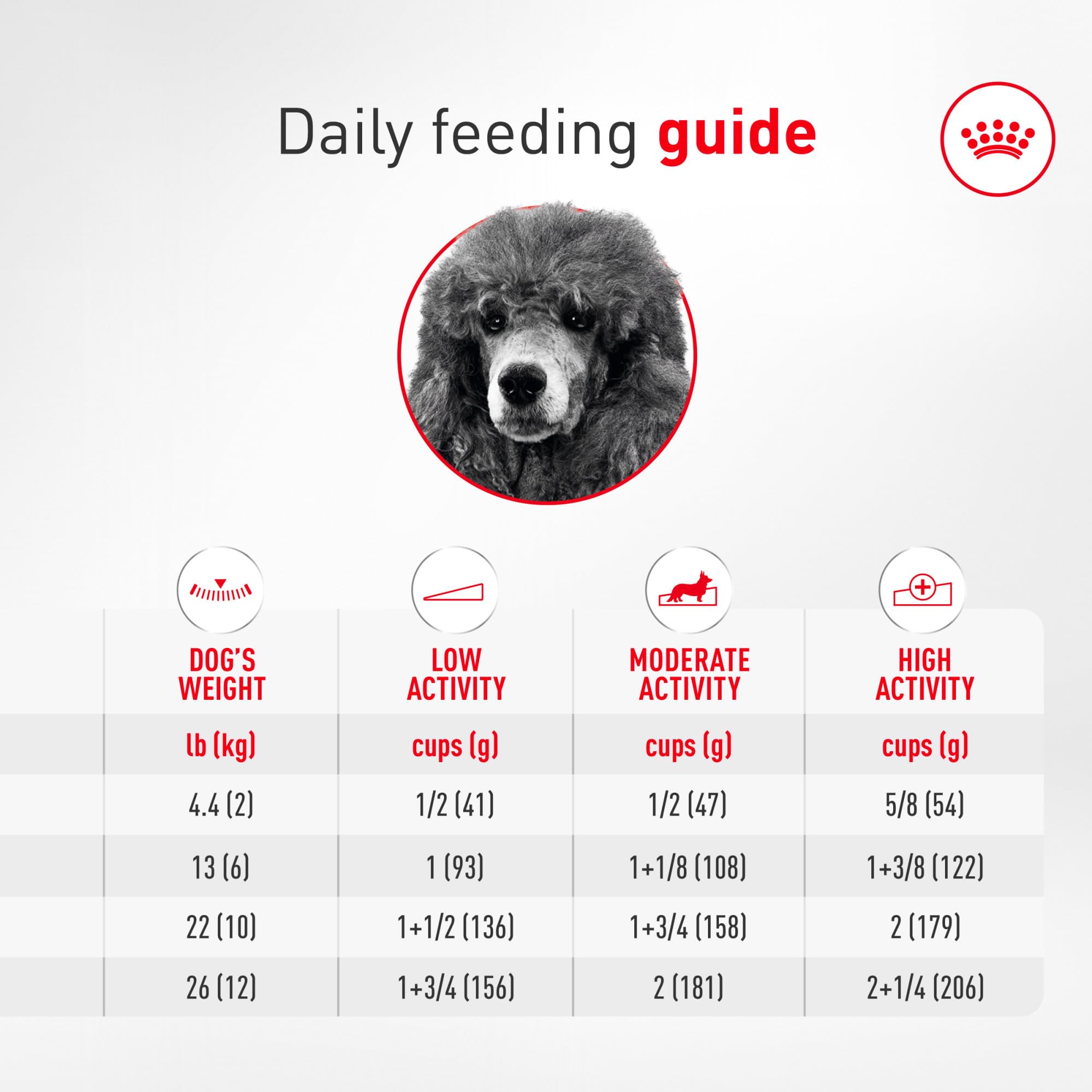 ROYAL CANIN croquette à côté d’un objet pour montrer l’échelle et la taille adaptée