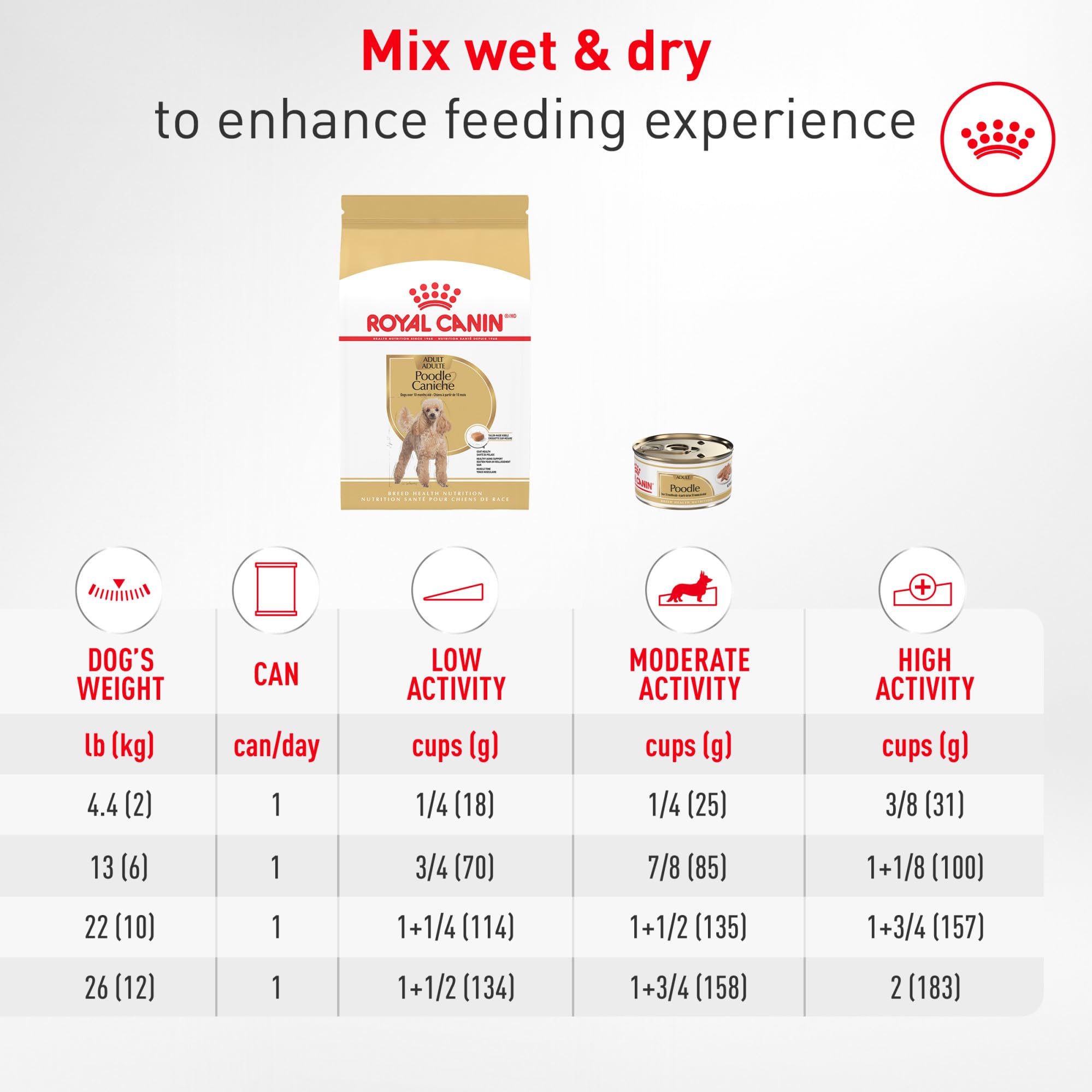 ROYAL CANIN plan sur le pelage d’un caniche illustrant l’effet soin du pelage