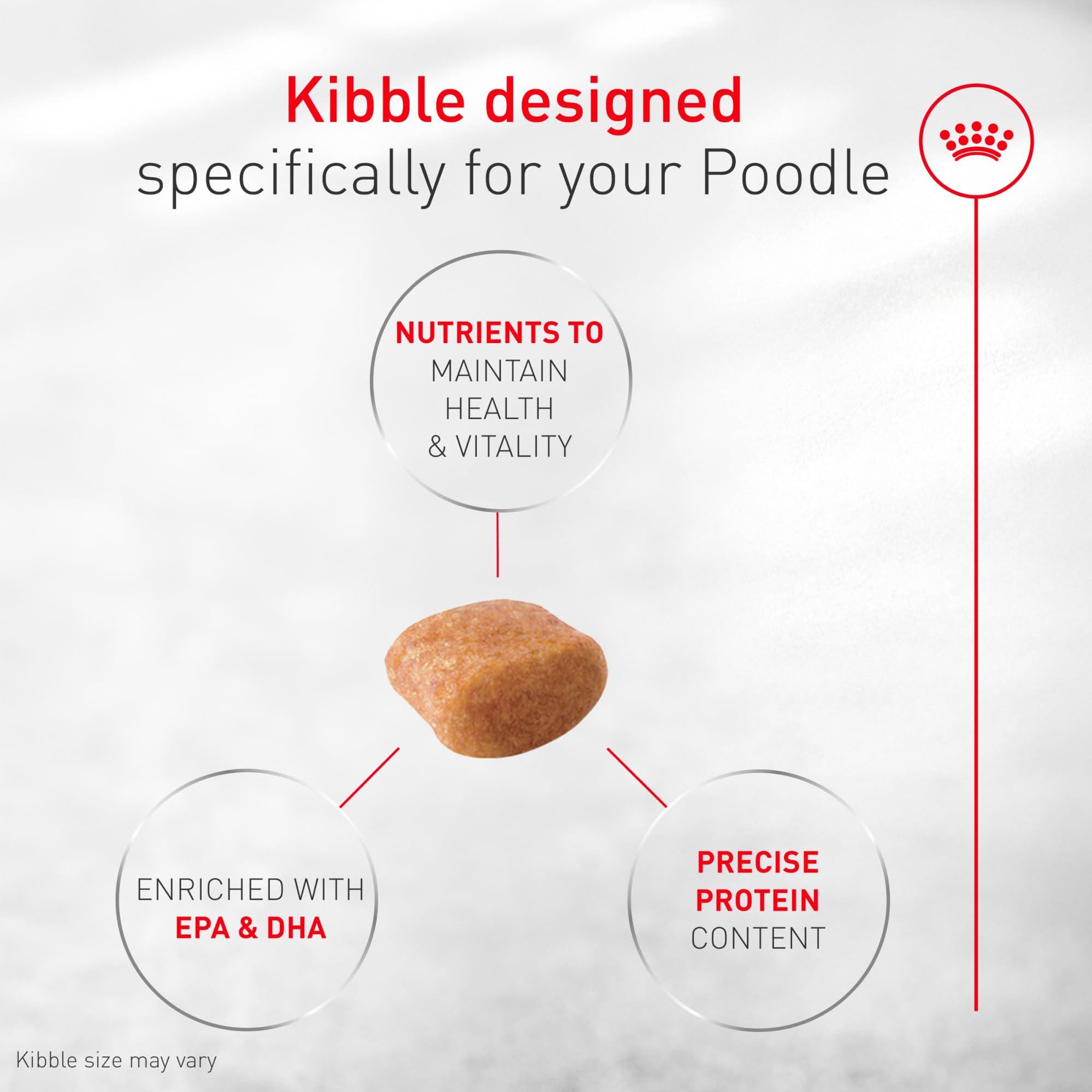 ROYAL CANIN texture de croquette montrant une mastication confortable pour le chien