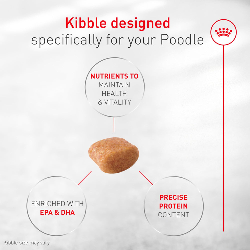 ROYAL CANIN texture de croquette montrant une mastication confortable pour le chien