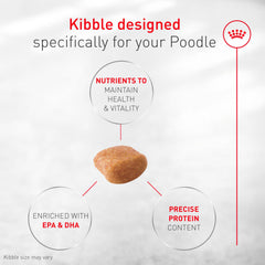 ROYAL CANIN texture de croquette montrant une mastication confortable pour le chien