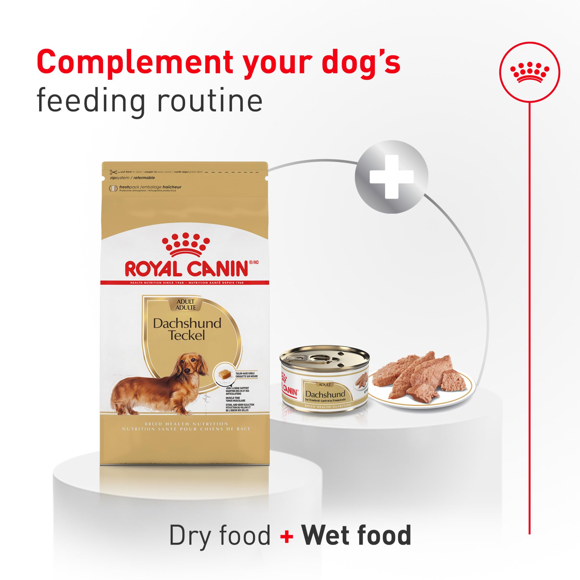 ROYAL CANIN bol portionnée et balance aide maintien du poids idéal