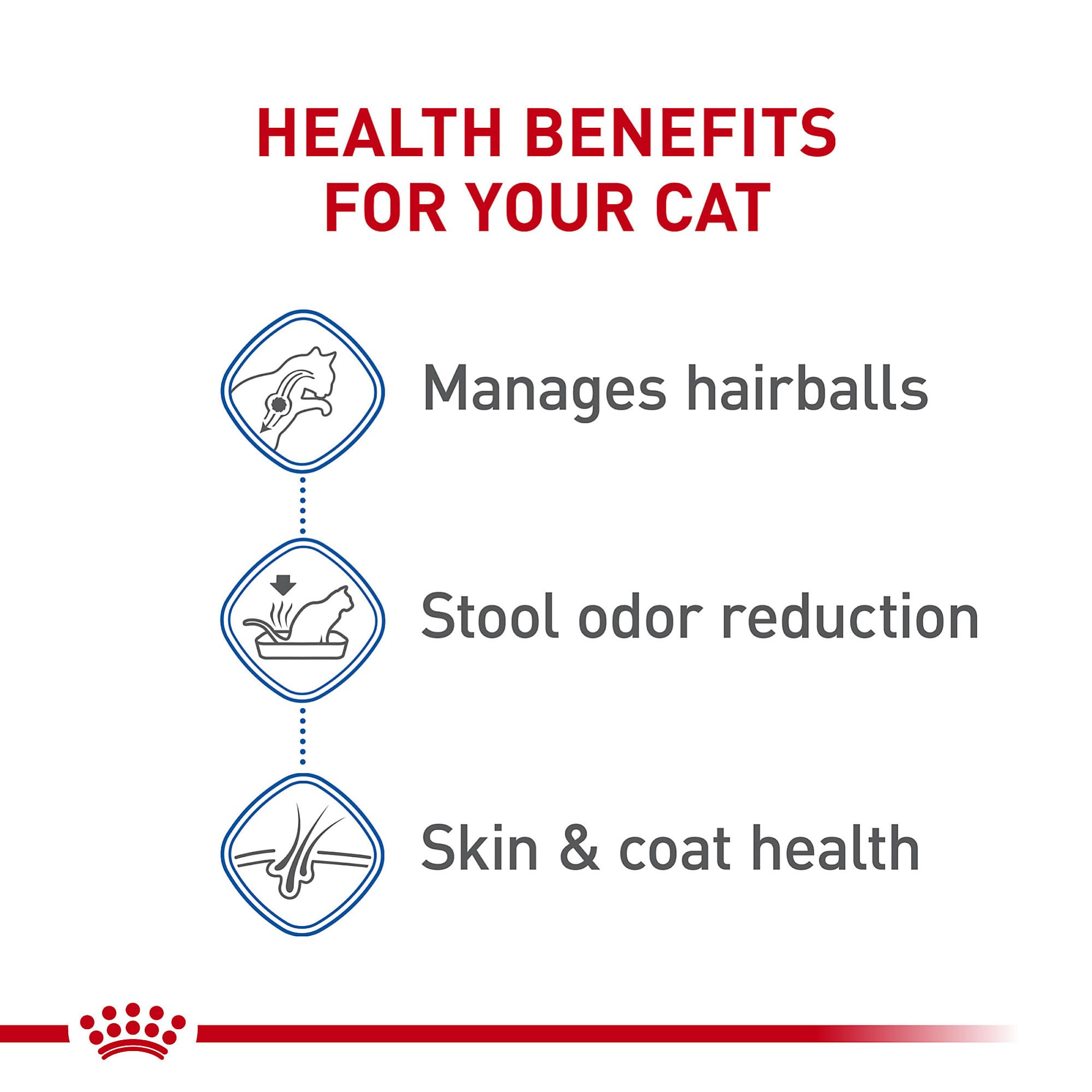 Royal Canin portion servie dans un bol pour contrôle des rations