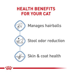 Royal Canin portion servie dans un bol pour contrôle des rations