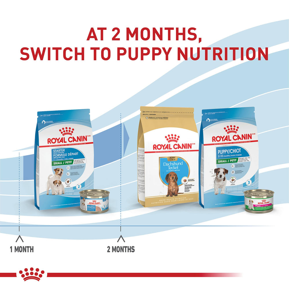 ROYAL CANIN portion mise à l'échelle, illustre la taille des croquettes
