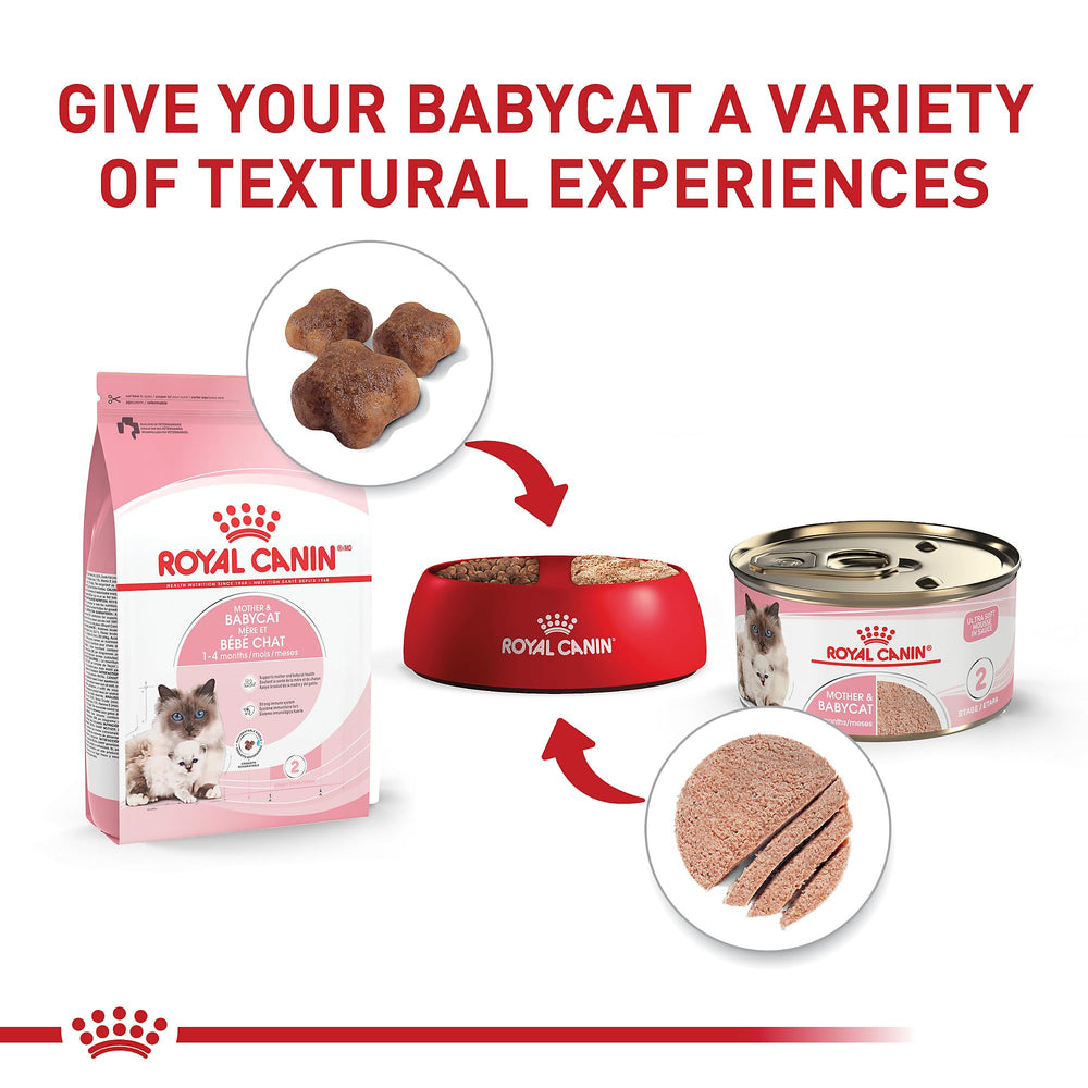 ROYAL CANIN portion individuelle 85 g pratique pour des repas contrôlés