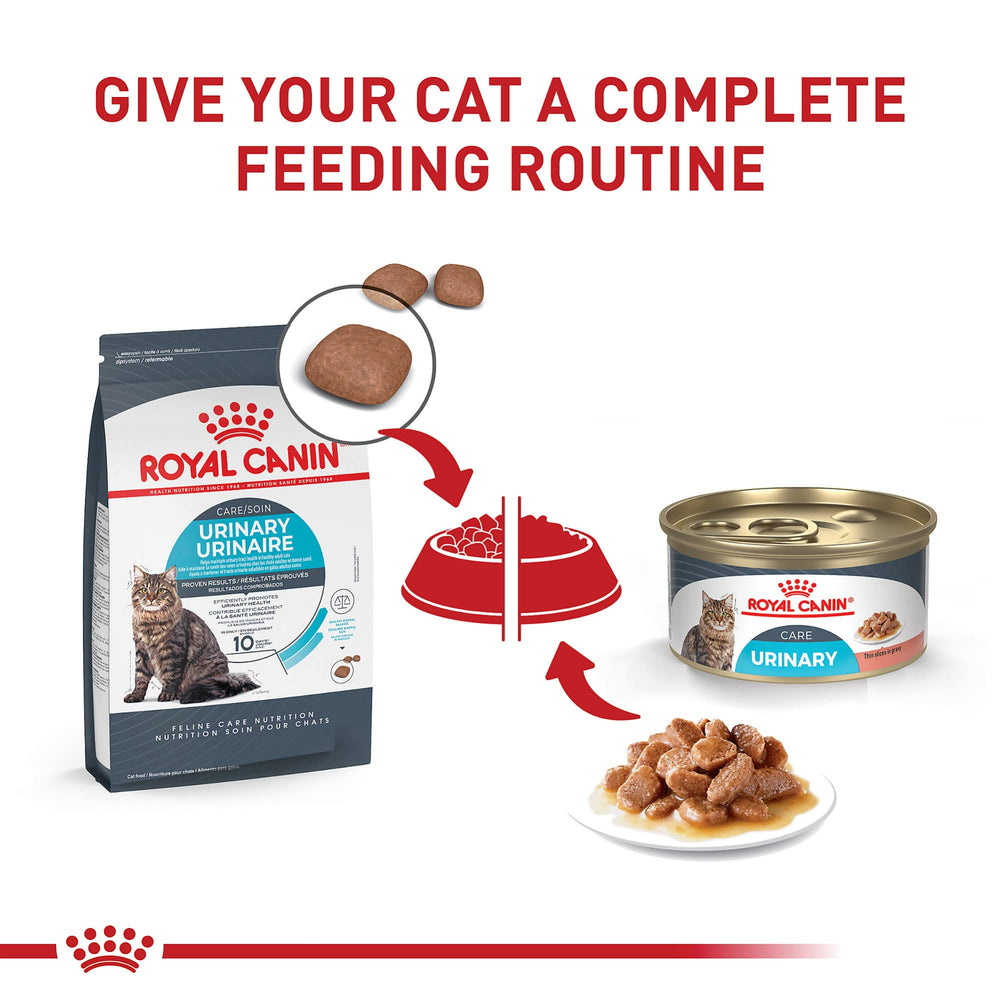 ROYAL CANIN portion servie dans une coupelle pour contrôle des rations