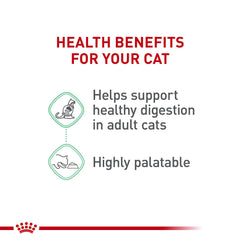 ROYAL CANIN portion servie dans une assiette illustrant contrôle des rations