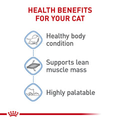 ROYAL CANIN portion servie sur assiette encourageant le bon appétit