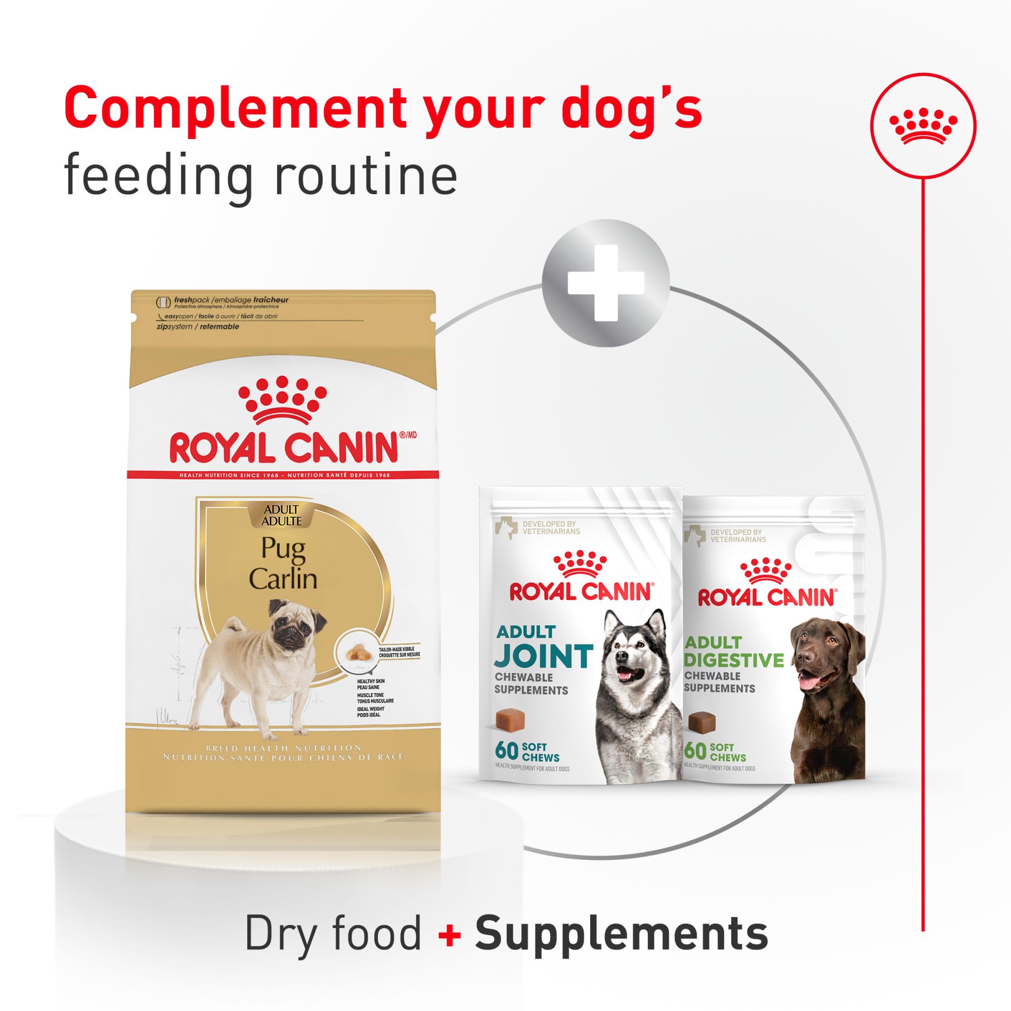 ROYAL CANIN sac 10 lb posé à côté d’un ruban métrique pour échelle de taille