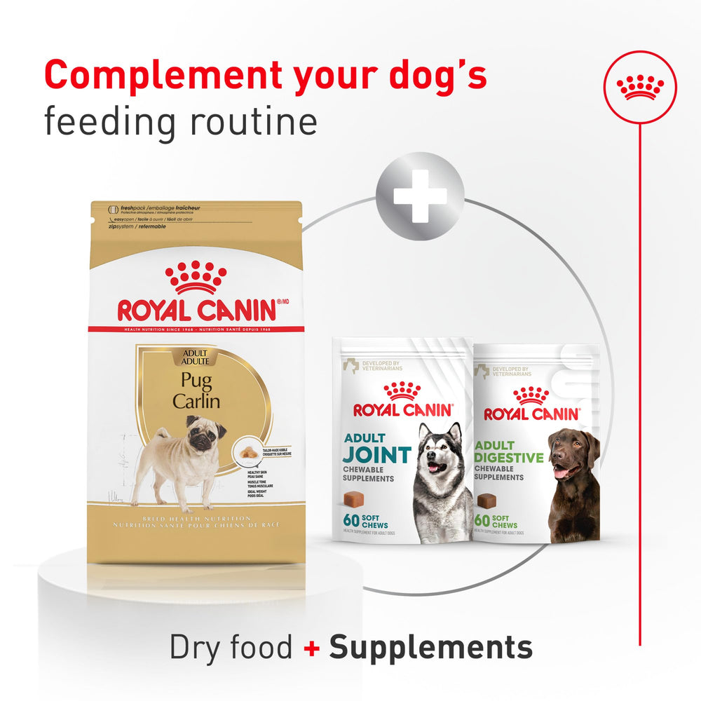 ROYAL CANIN sac 10 lb posé à côté d’un ruban métrique pour échelle de taille