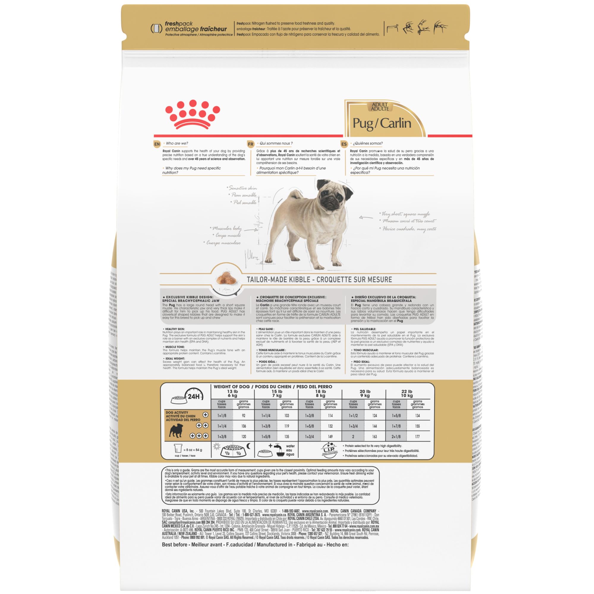 ROYAL CANIN croquette proche d’un museau de carlin démontrant adaptation morphologique