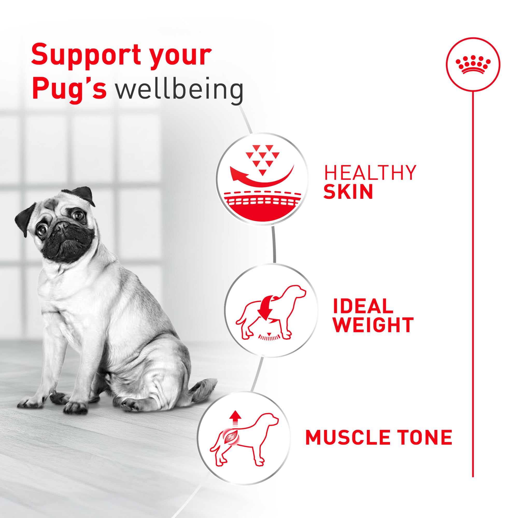 ROYAL CANIN flacon d’huile de poisson soulignant EPA et DHA pour peau saine