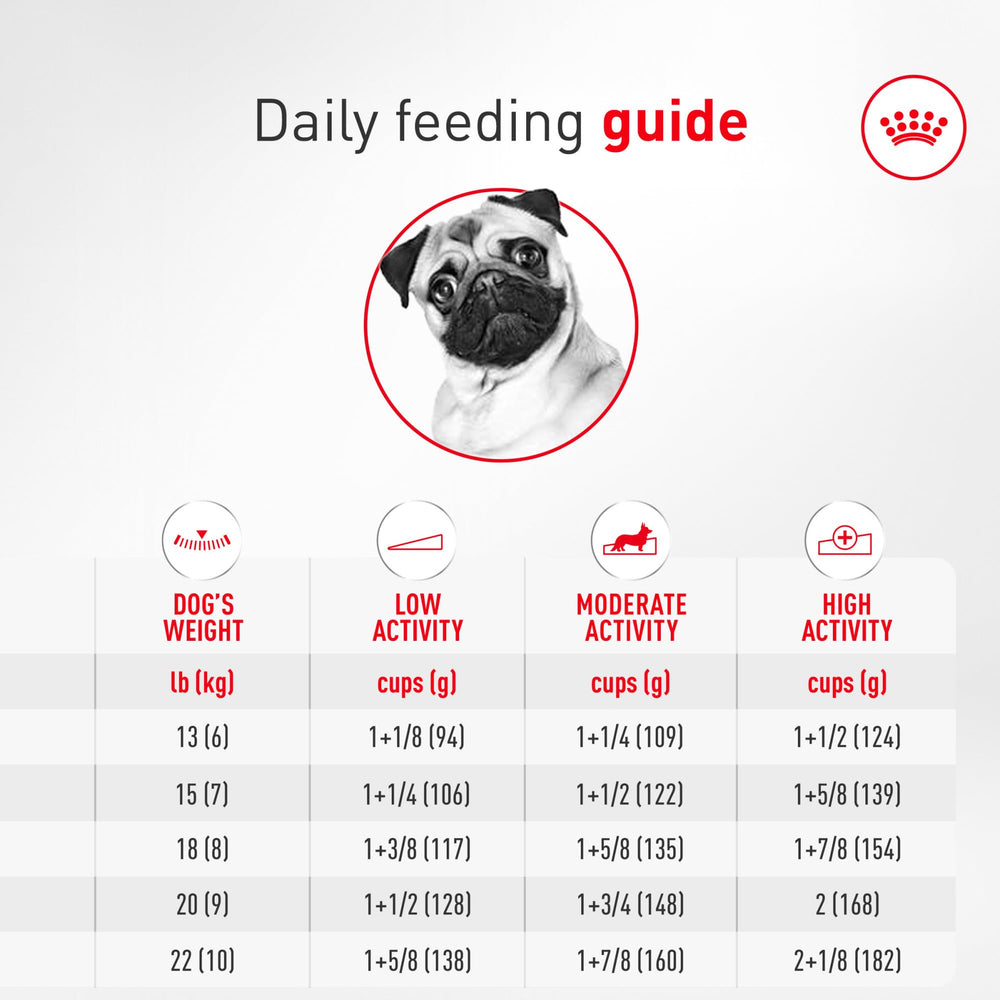 ROYAL CANIN gamelle mesurée et croquettes portionnées pour contrôle du poids