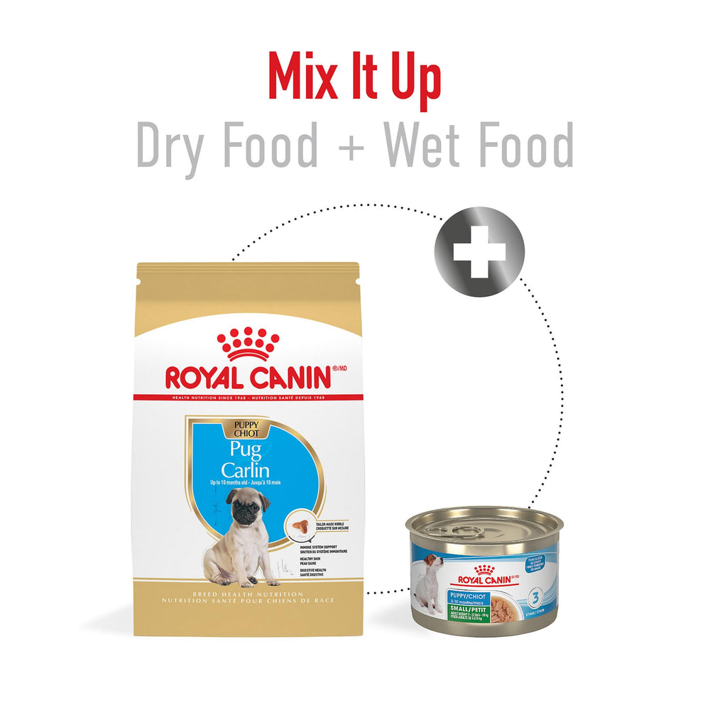ROYAL CANIN chiot Carlin mangeant dans un bol, favorisant une alimentation autonome
