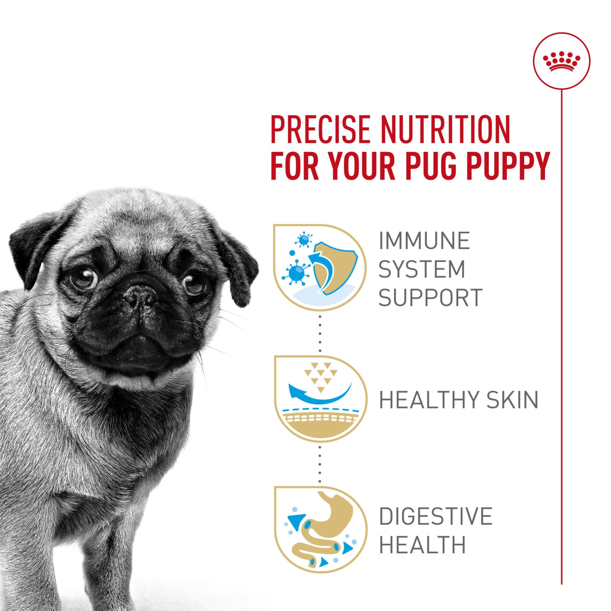 ROYAL CANIN profil d’une croquette adaptée au museau court pour une mastication aisée