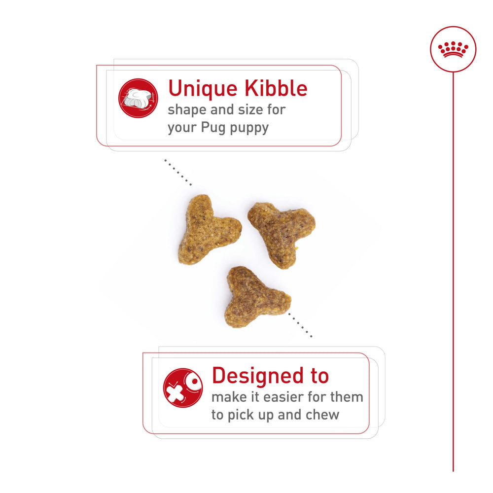 ROYAL CANIN gros plan sur la texture des croquettes pour une prise facile