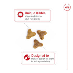 ROYAL CANIN gros plan sur la texture des croquettes pour une prise facile