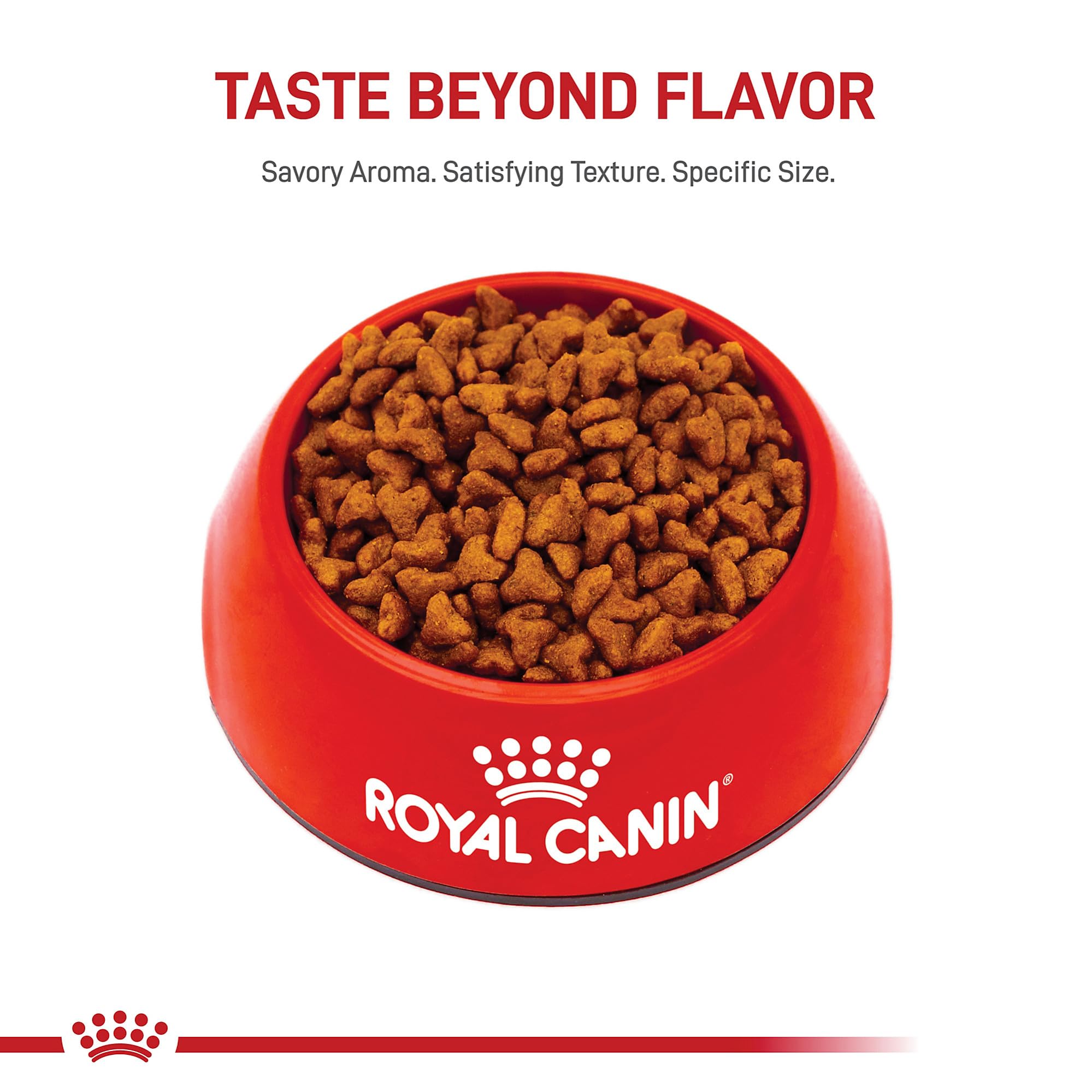 ROYAL CANIN étiquette nutritionnelle montrant antioxydants et acides gras essentiels