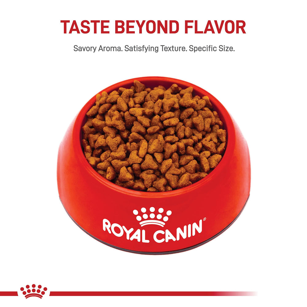 ROYAL CANIN étiquette nutritionnelle montrant antioxydants et acides gras essentiels