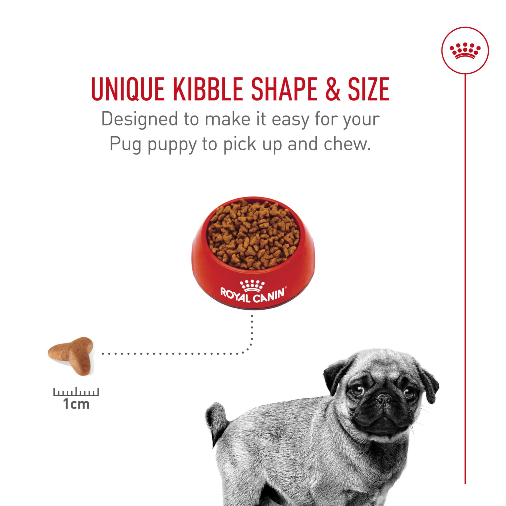 ROYAL CANIN paquet ouvert avec croquettes illustrant la présentation pratique